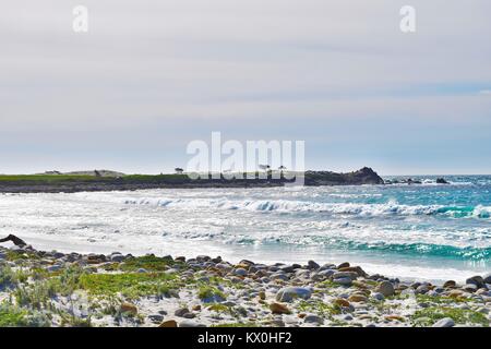 Stadtansichten LA San Francisco Monterey und Natur Stockfoto