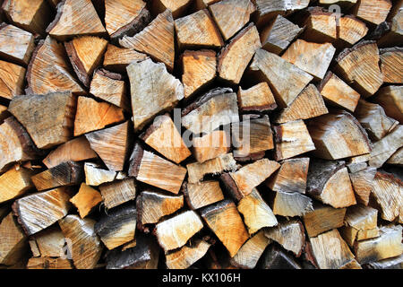 Stapel von Holz auf einem Wald Wiese in Podkarpacie Provinz, Polen Stockfoto