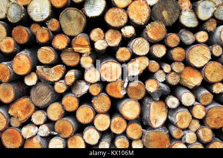 Stapel von Holz auf einem Wald Wiese in Podkarpacie Provinz, Polen Stockfoto