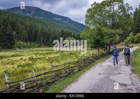 Von Obri Dul studnicni Berg Tal, weg von Pec pod Snezkou zur Schneekoppe im Riesengebirge Gebirge Sudeten gesehen, Tschechische Republik Stockfoto