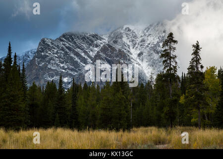 Einen frühen winter storm Clearing aus der Teton Mountains eine frische Schicht Schnee oberhalb der Wiese entlang der Lake Creek Trail in der LAURANCE S. aufzudecken Stockfoto