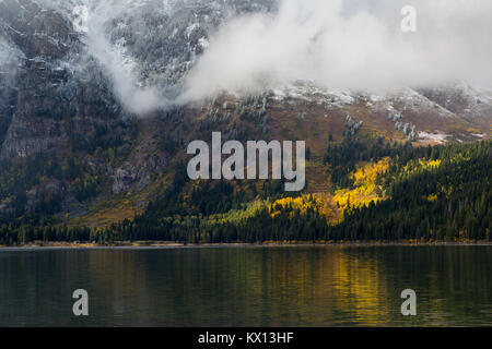 Ein Hain von Aspen Bäume unterhalb ein Wintersturm ändern für die Herbstsaison in Phelps Sees spiegelte. Der Grand Teton National Park, Wyoming Stockfoto