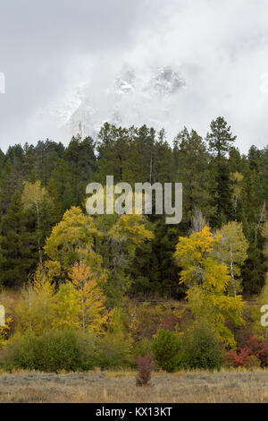 Wolken heben gerade genug Schnee auf den Teton Bergen über fallen Pappeln und immergrünen Bäumen zu enthüllen am Laurance S. Rockefeller bewahren. G Stockfoto