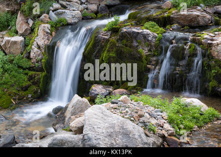 Kleinere Wasserfälle gießen über kleine felsige outcroppings in der South Fork von Cascade Canyon in den Teton Mountains. Der Grand Teton National Park, Wyomin Stockfoto