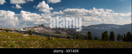 Auf Teton Canyon von unterhalb der Gipfel des Tafelberges. Jedediah Smith Wüste, Wyoming Stockfoto