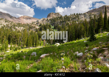 Gipfel der Teton Mountains Turm über einer Wiese in der North Fork der Teton Canyon. Jedediah Smith Wüste, Wyoming Stockfoto