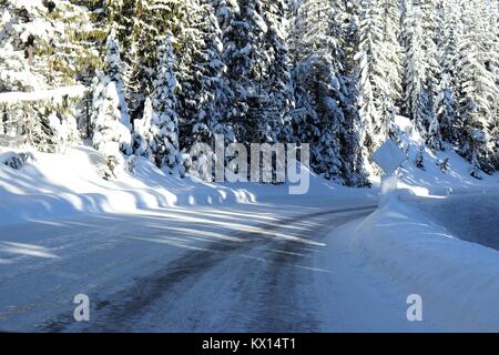 Reise durch die Winterlandschaft Stockfoto