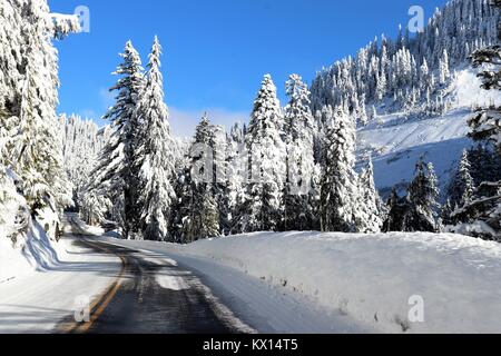 Reise durch die Winterlandschaft Stockfoto