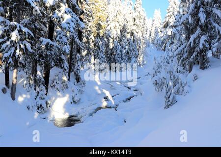 River Mount Rainier National Park Stockfoto