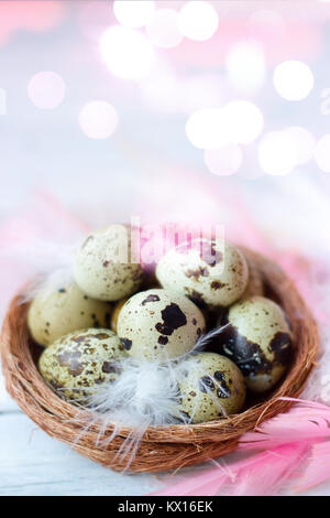 Wachtel Eier und Federn in kleinen Nest, auf weißem Holz- Hintergrund mit Bokeh; Raum; Ostern Hintergrund Stockfoto