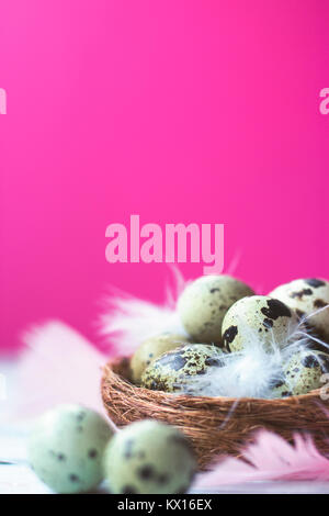 Wachtel Eier und Federn in kleinen Nest, auf weißem Hintergrund Holz gegen Rosa Wand; Kopie Raum; Ostern Hintergrund Stockfoto