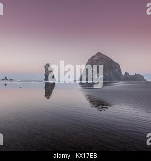 Rosa Sonnenaufgang über Heuhaufen Felsen entlang Oregon Küste Stockfoto