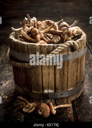 Frische Honig blätterpilze in einem hölzernen Löffel. Auf einer hölzernen Hintergrund. Stockfoto