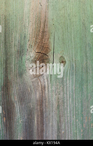 Full Frame Bild einer Planke aus Holz, ideal für den Einsatz als Hintergrund - Johannes Gollop Stockfoto