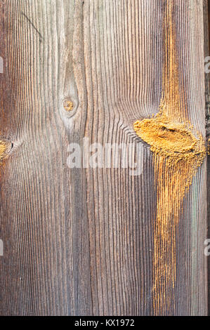 Full Frame Bild einer Planke aus Holz, ideal für den Einsatz als Hintergrund - Johannes Gollop Stockfoto