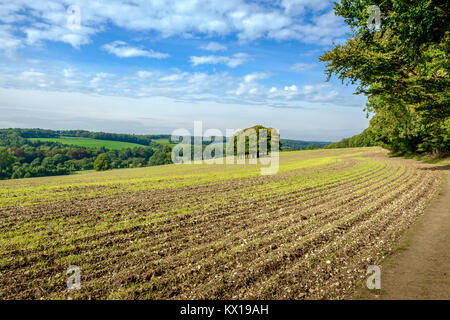 Landwirtschaftliches Feld entlang eines Rechts der Weg in den Chilterns, Schach Tal. Stockfoto