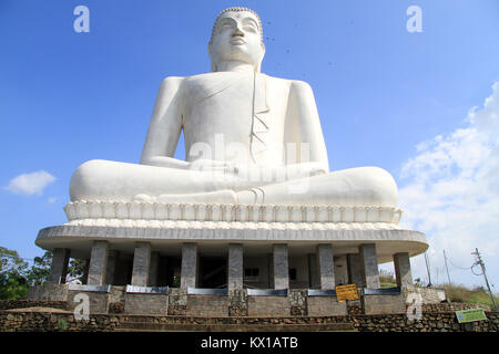 Großen weißen Buddha in Kurunegala, Sri Lanka Stockfoto