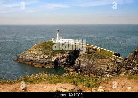 South Stack, heilige Insel Anglesey, Wales. Stockfoto