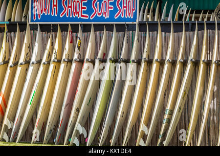 Surfboards an der North Shore Surf Shop in Haleiwa Hawaii Stockfoto