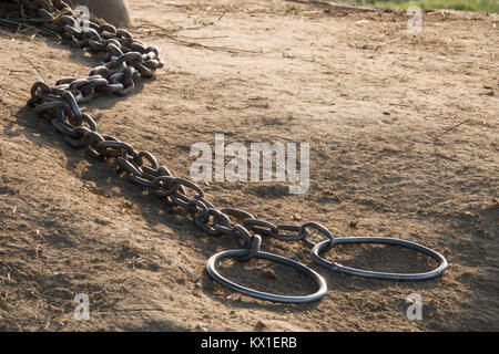 Elephant Foot Ketten in Kathmandu, Nepal Stockfoto