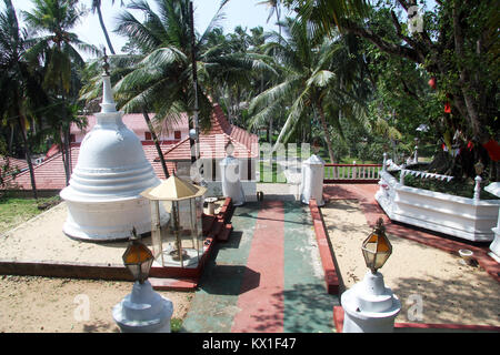 Weiße Stupa in der Nähe von Tree in Sapugoda Viharaya in Aluthgama, Sri Lanka Stockfoto