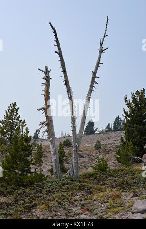 Mount Hood National Park unter einem verrauchten Atmosphäre, California, United States Stockfoto