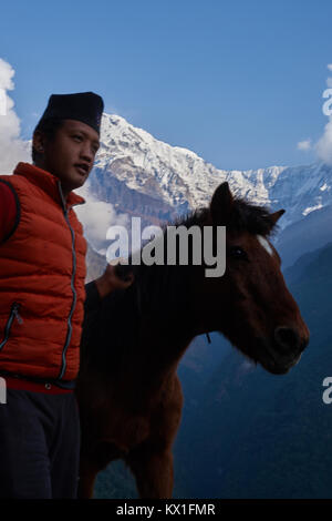 Nepali mann Pferd vor der Annapurna South, Annapurna Massivs, Nepal Stockfoto