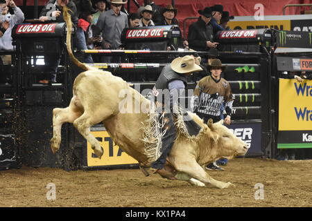 New York, New York, USA. 5 Jan, 2018. Bull Riders an der PBR reiten Stiere im Madison Square Garden. Quelle: Jeffrey Geller/ZUMA Draht/ZUMAPRESS.com/Alamy leben Nachrichten Stockfoto