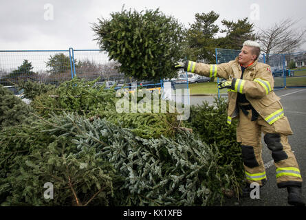 Richmond, Kanada. 6. Januar, 2018. Ein Feuerwehrmann sammelt die Bäume für das Recycling im Rahmen des jährlichen Weihnachtsbaum chipping Veranstaltung in Richmond, Kanada, Jan. 6, 2018. Gesammelten Bäume werden abgebrochen und für Sie zu Ressourcen zugeführt werden. Credit: Liang Sen/Xinhua/Alamy leben Nachrichten Stockfoto