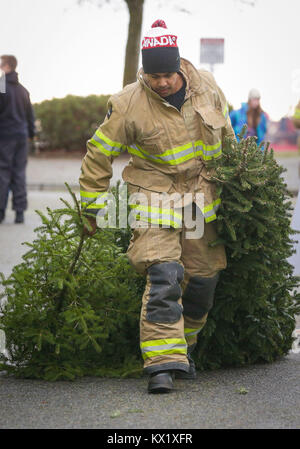 Richmond, Kanada. 6. Januar, 2018. Ein Feuerwehrmann trägt die Bäume für das Recycling im Rahmen des jährlichen Weihnachtsbaum chipping Veranstaltung in Richmond, Kanada, Jan. 6, 2018. Gesammelten Bäume werden abgebrochen und für Sie zu Ressourcen zugeführt werden. Credit: Liang Sen/Xinhua/Alamy leben Nachrichten Stockfoto