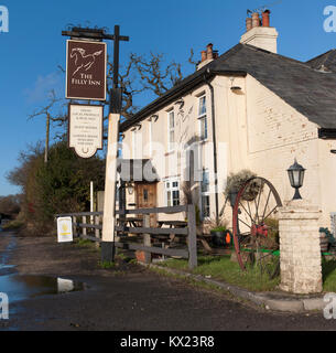 Die stutfohlen Inn, Brockenhurst, New Forest, Hampshire, England, Großbritannien Stockfoto