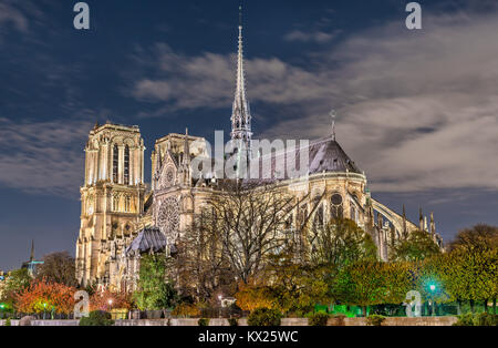 Anzeigen von Notre-Dame de Paris von den Ufern der Seine in der Nacht Stockfoto