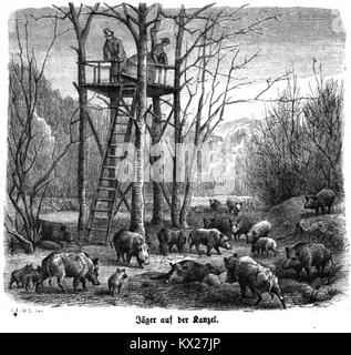 Diese Illustration aus der „Gartenlaube“, einer deutschen Zeitschrift aus dem 19. Jahrhundert, zeigt Leben und Kultur und repräsentiert künstlerischen Stil und historische visuelle Dokumentation der Zeit. Stockfoto