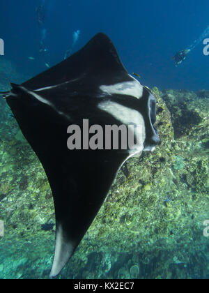 Manta von oben Stockfoto