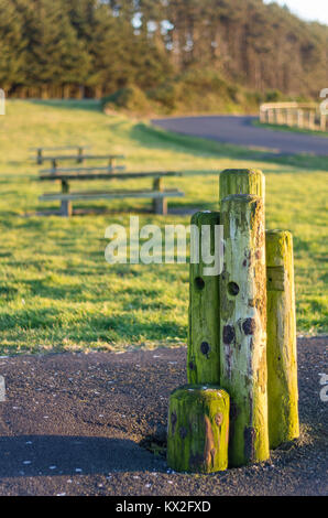 Pfähle und Picknicktische am Straßenrand Rastplatz auf der Oregon Küste Stockfoto