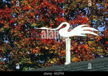 Eine dekorative weiß, Holz- gans Wetterfahne sitzt oben auf dem Dach einer Scheune mit einem Hintergrund von bunten Herbst Ahorn Blätter. Stockfoto