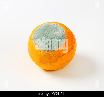 Orange mit Schimmel auf es Stockfoto
