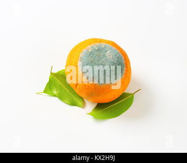 Orange mit Schimmel auf es Stockfoto