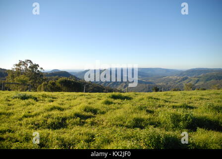 Blick auf die grünen Berge Abschnitt im Lamington Nationalpark, Australien Stockfoto