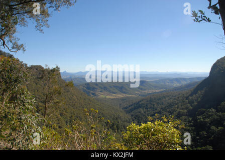 Blick auf die grünen Berge von Lamington National Park von Python Rock Lookout, Australien Stockfoto