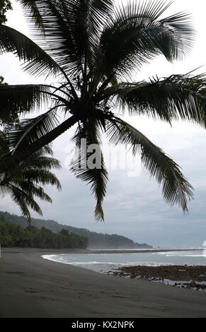Wanderer am Strand Corcovado Nationalpark Costa Rica Osa Halbinsel Stockfoto
