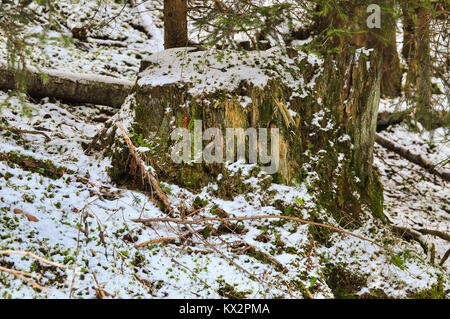 Winterlandschaft im Dorf Großarl, Österreichische Alpen. Stockfoto