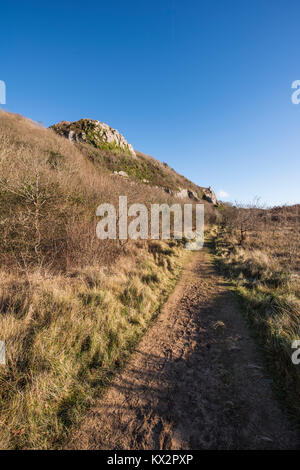 Wege zum großen Tor Klippe in den Dünen von nicholaston Burrows, Oxwich Bay, Gower Peninsula, South Wales, UK. Stockfoto