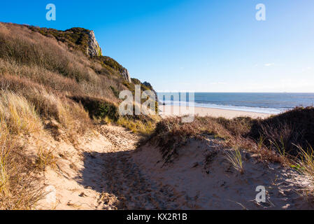 Wege zum großen Tor Klippe in den Dünen von nicholaston Burrows, Oxwich Bay, Gower Peninsula, South Wales, UK. Stockfoto