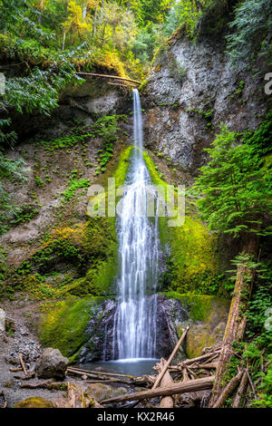 Marymere Falls, Olympic Nationalpark, Washington, USA Stockfoto