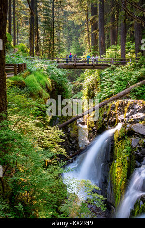 Sol Duc fällt, Sol Duc Tal, Olympic National Park, Washington, USA Stockfoto