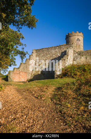 Alte John Tower sitzt auf dem Gipfel des Alten John Hill, Bradgate Park, Newton Linford, Leicestershire, England Stockfoto