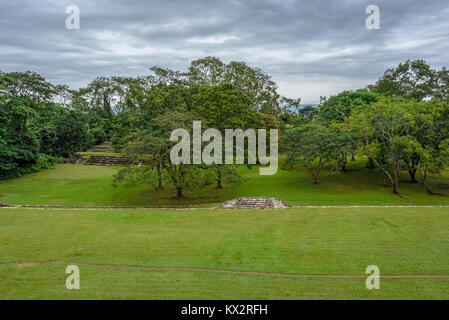 Vista eines grünen Dschungel hinter einer Rasenfläche in der Maya Stadt Palenque Stockfoto