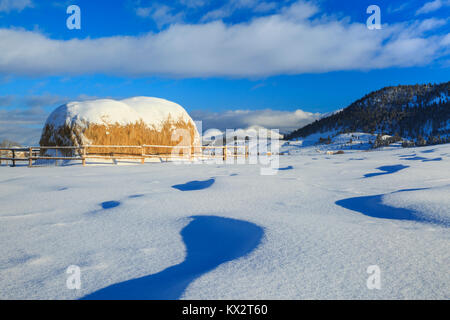 Heuballen und Schneeverwehungen unterhalb der kontinentalen Wasserscheide in der Nähe von Avon, Montana Stockfoto