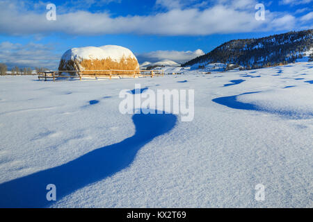 Heuballen und Schneeverwehungen unterhalb der kontinentalen Wasserscheide in der Nähe von Avon, Montana Stockfoto